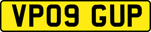 VP09GUP