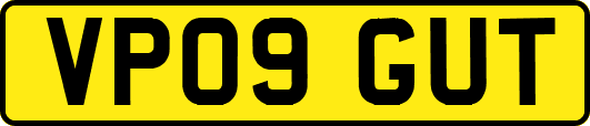 VP09GUT