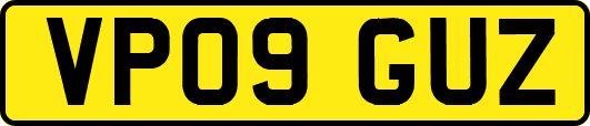 VP09GUZ