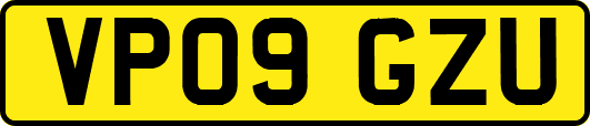 VP09GZU
