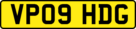 VP09HDG