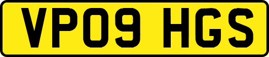 VP09HGS