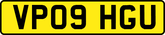 VP09HGU