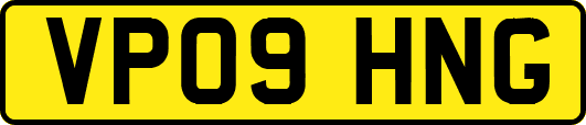 VP09HNG