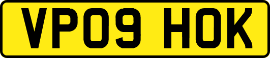 VP09HOK