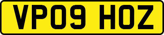 VP09HOZ
