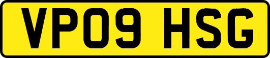 VP09HSG