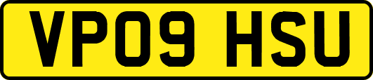 VP09HSU
