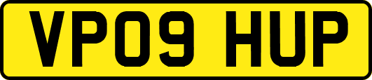 VP09HUP