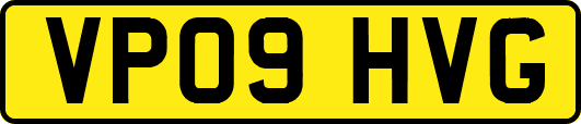 VP09HVG