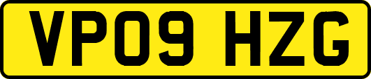 VP09HZG