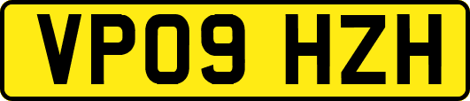 VP09HZH