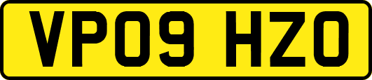 VP09HZO