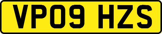 VP09HZS