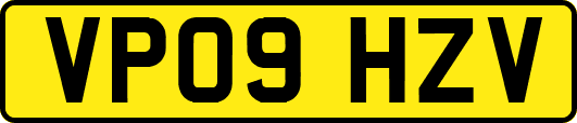 VP09HZV