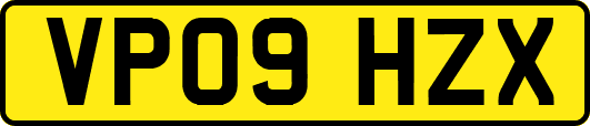 VP09HZX