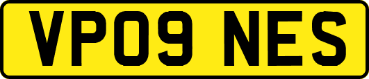 VP09NES