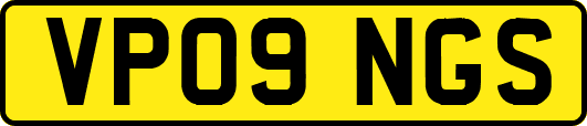 VP09NGS