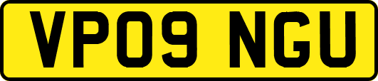 VP09NGU