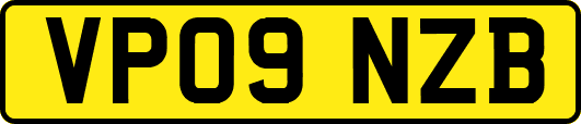 VP09NZB