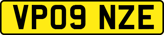 VP09NZE