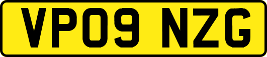 VP09NZG