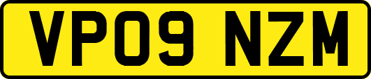 VP09NZM