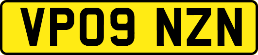 VP09NZN