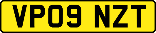 VP09NZT
