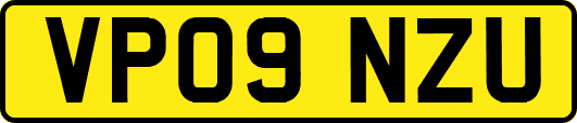 VP09NZU