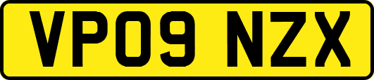 VP09NZX