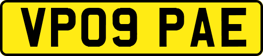 VP09PAE