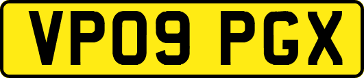 VP09PGX