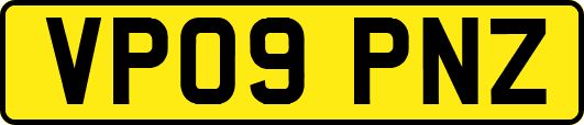 VP09PNZ
