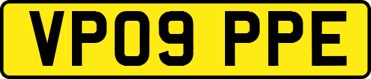 VP09PPE