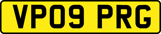VP09PRG