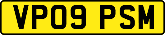 VP09PSM