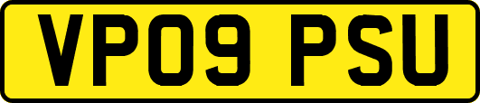 VP09PSU