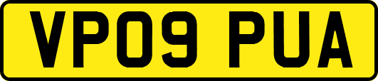 VP09PUA
