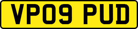 VP09PUD