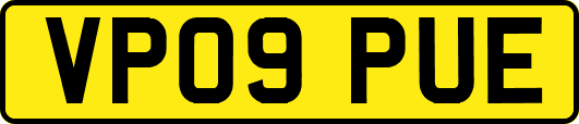 VP09PUE