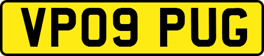 VP09PUG