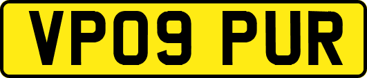 VP09PUR
