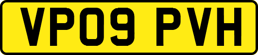 VP09PVH