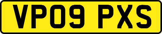 VP09PXS