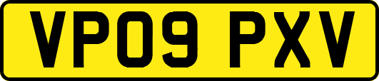 VP09PXV