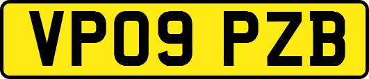 VP09PZB