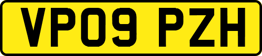 VP09PZH