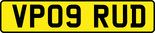 VP09RUD