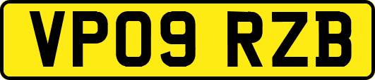 VP09RZB
